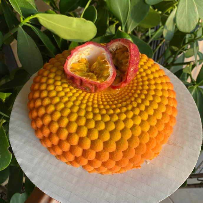 Vegan Coconut Mango Passionfruit Cake